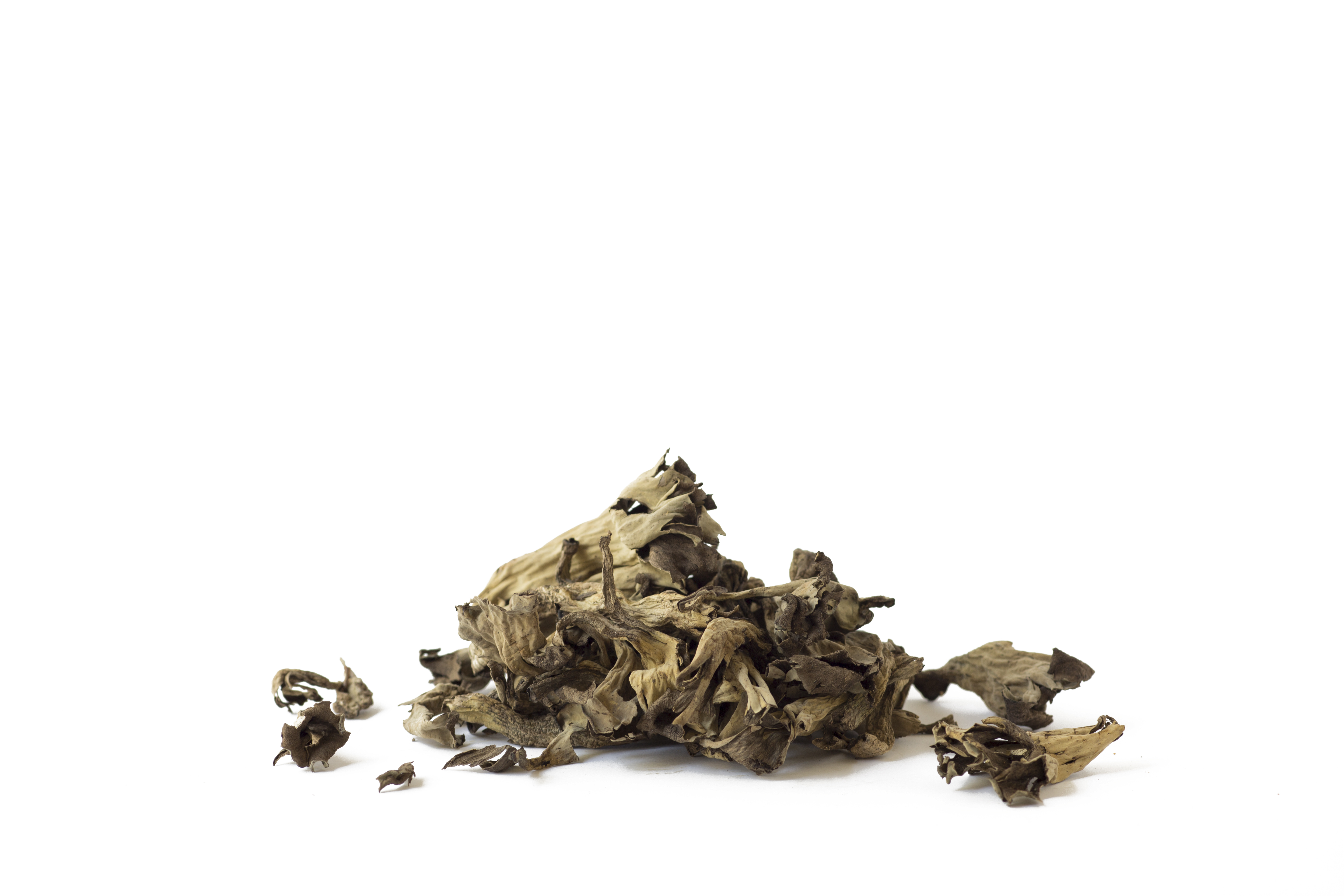 Dried Wild Black Trumpet Mushrooms / 2oz